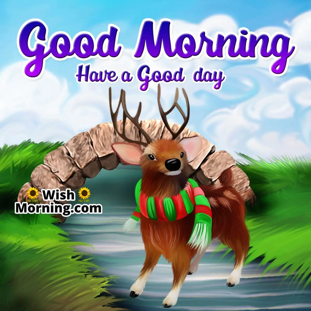 Good Morning Animal Pic