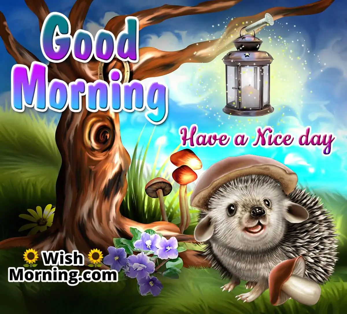 Good Morning Animal