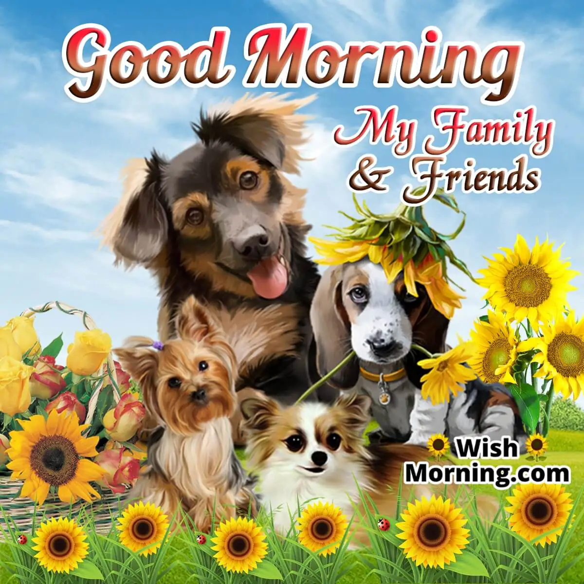 Good Morning Dog Images
