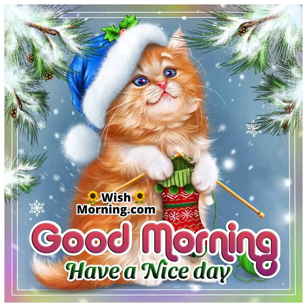 Good Morning Have A Nice Day