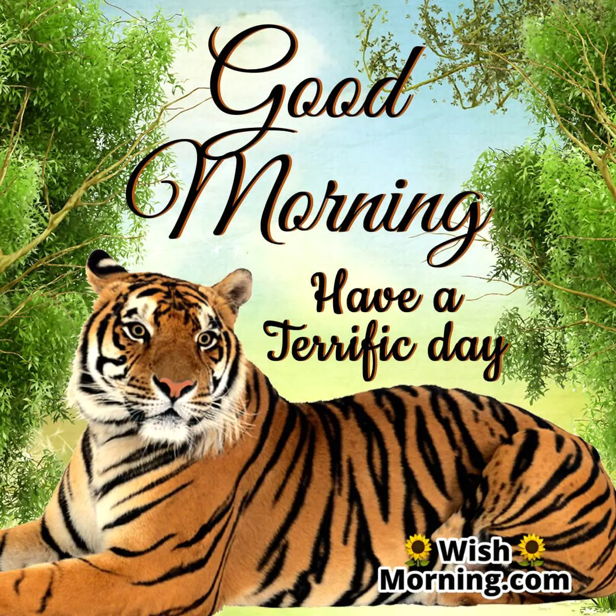 Good Morning Have A Terrific Day