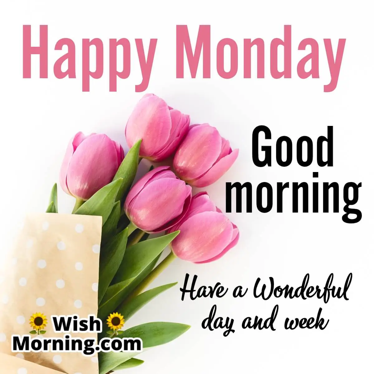 Good Morning Monday Wish