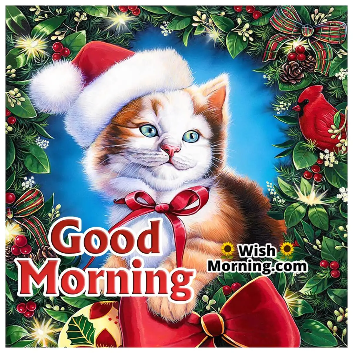 Good Morning