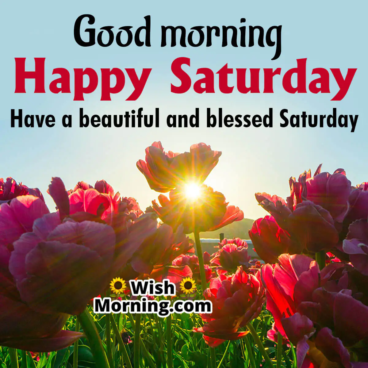 Good Morning Happy Saturday