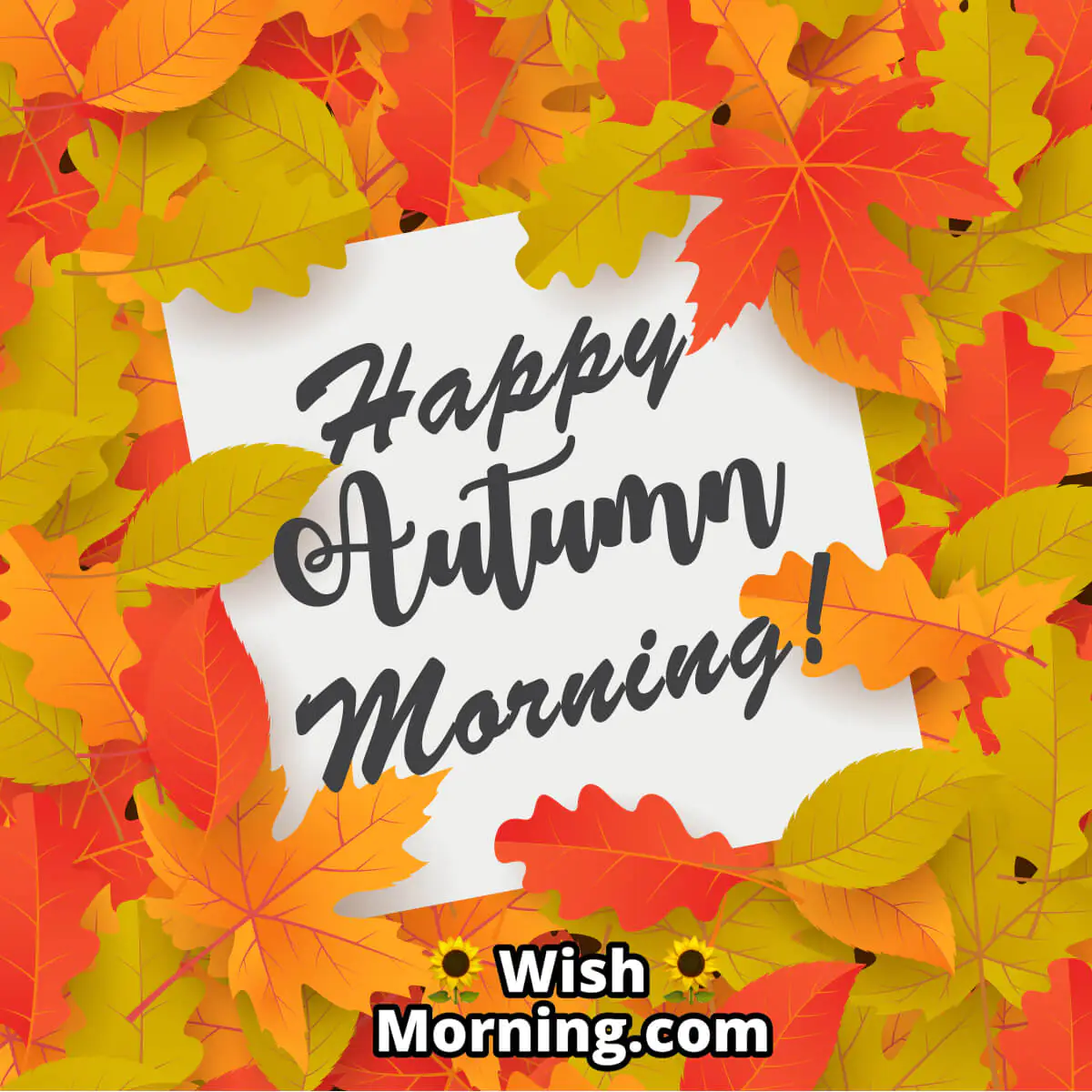 Happy Autumn Morning