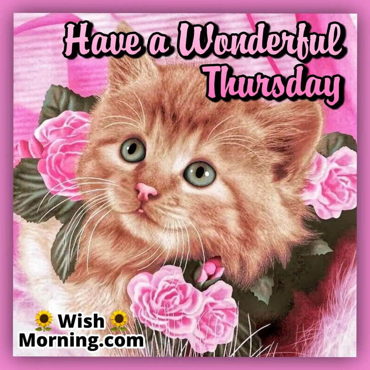 Have A Wonderful Thursday