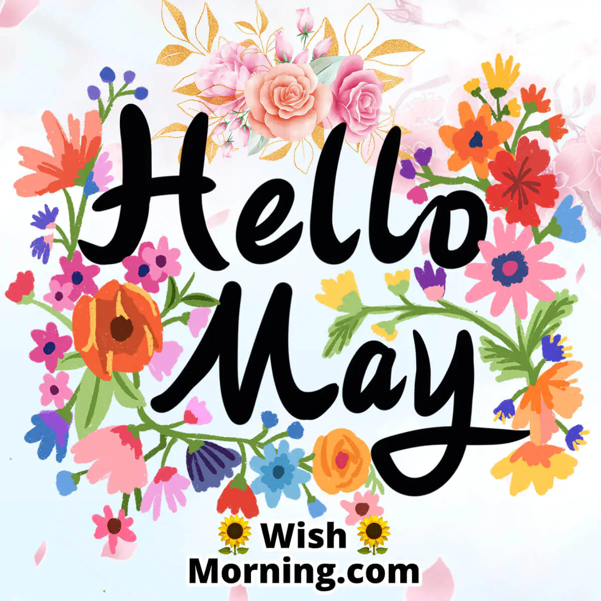 Hello May Pic