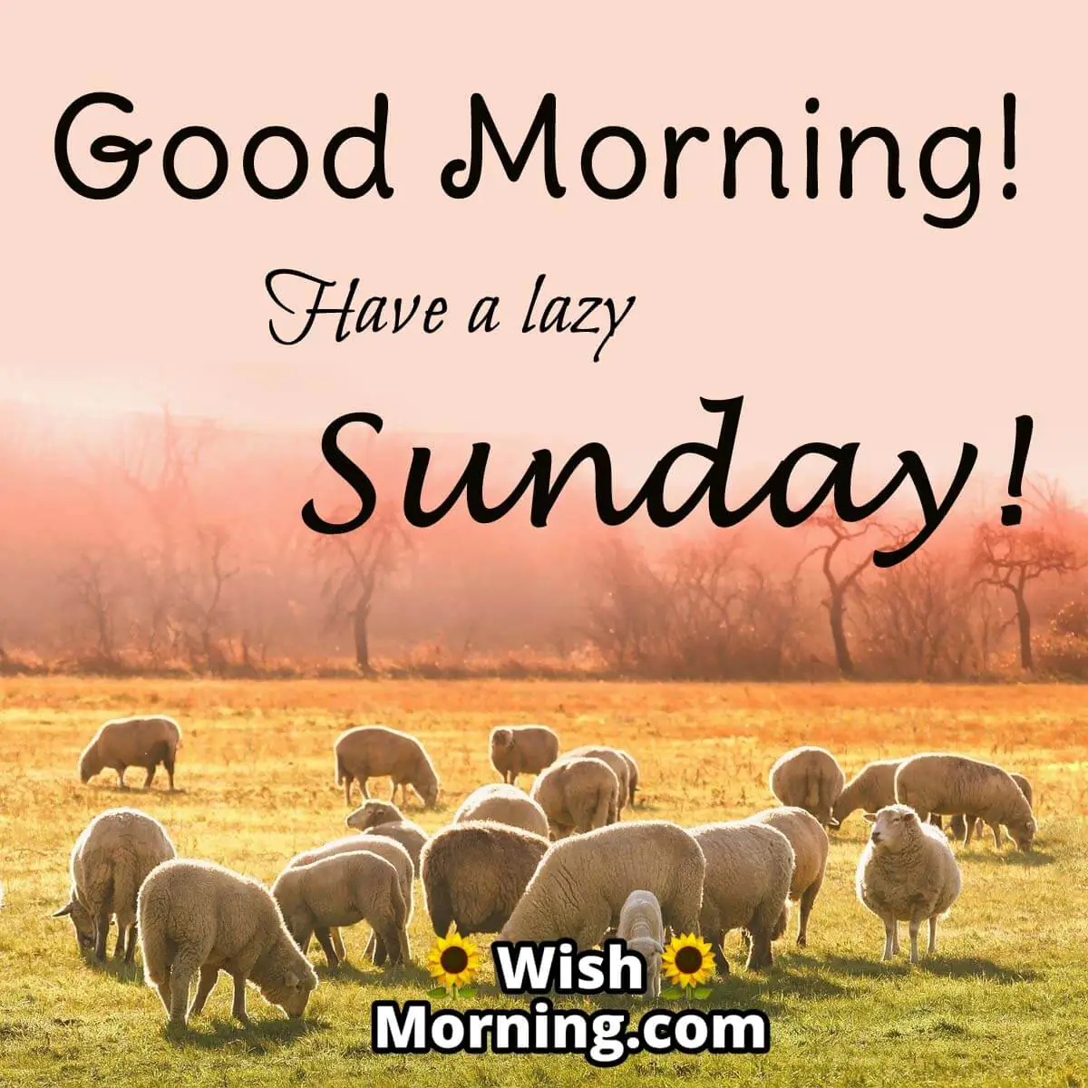 Lazy Sunday