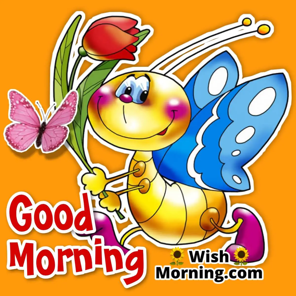 Morning Cartoon Picture