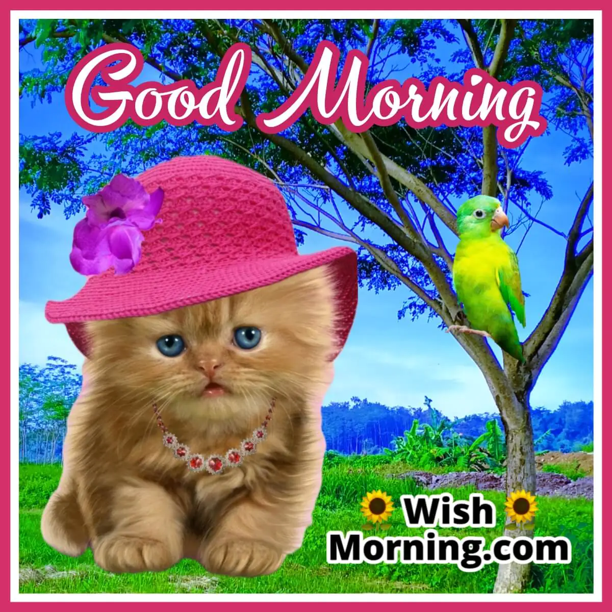 Morning Cat Wish