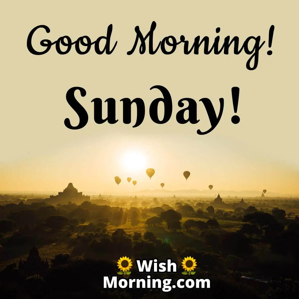 Sunday Morning