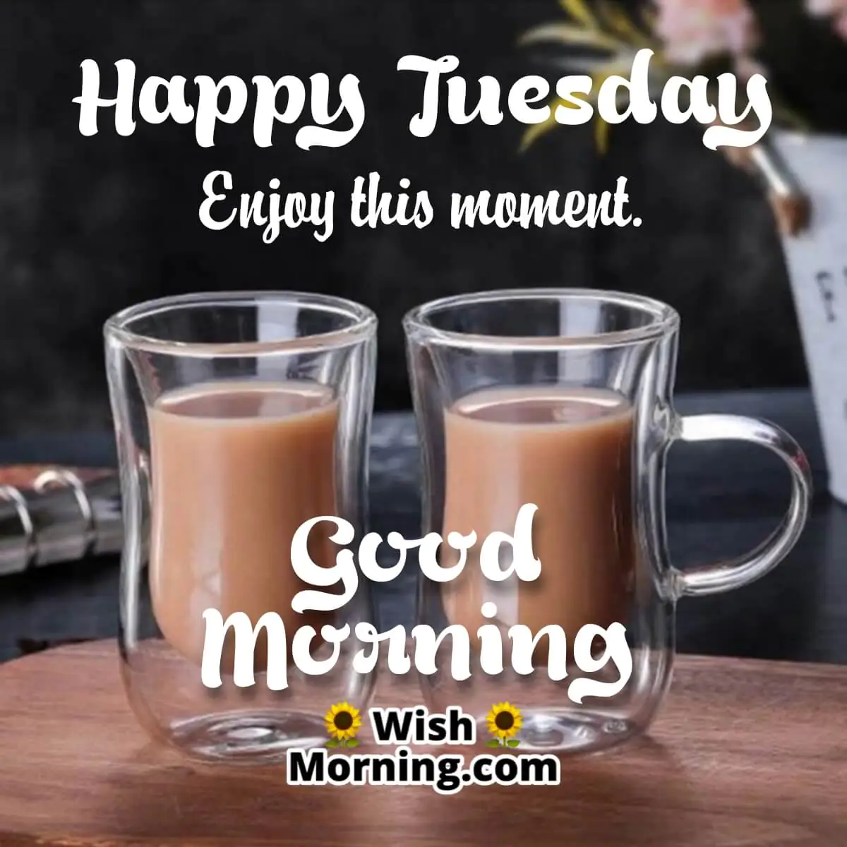 Tuesday Morning Picture