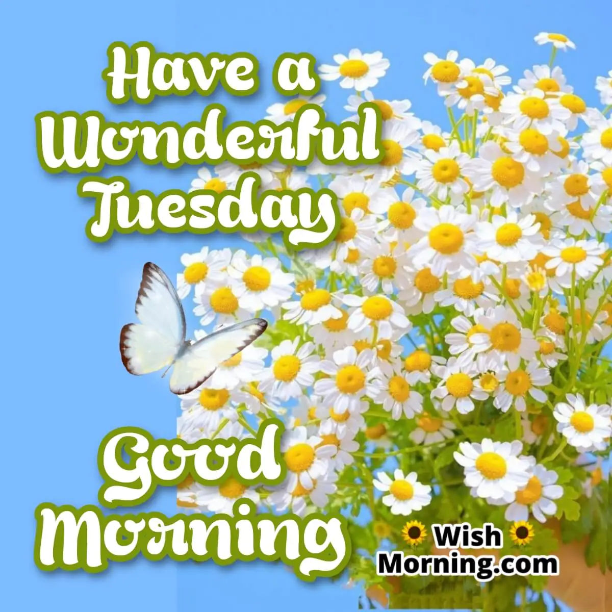Tuesday Morning Wish
