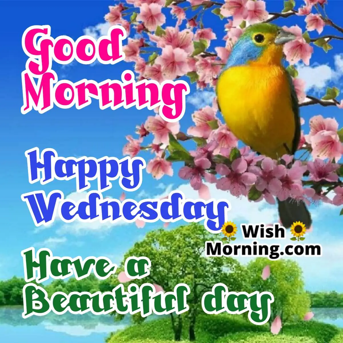 Wednesday Morning Picture