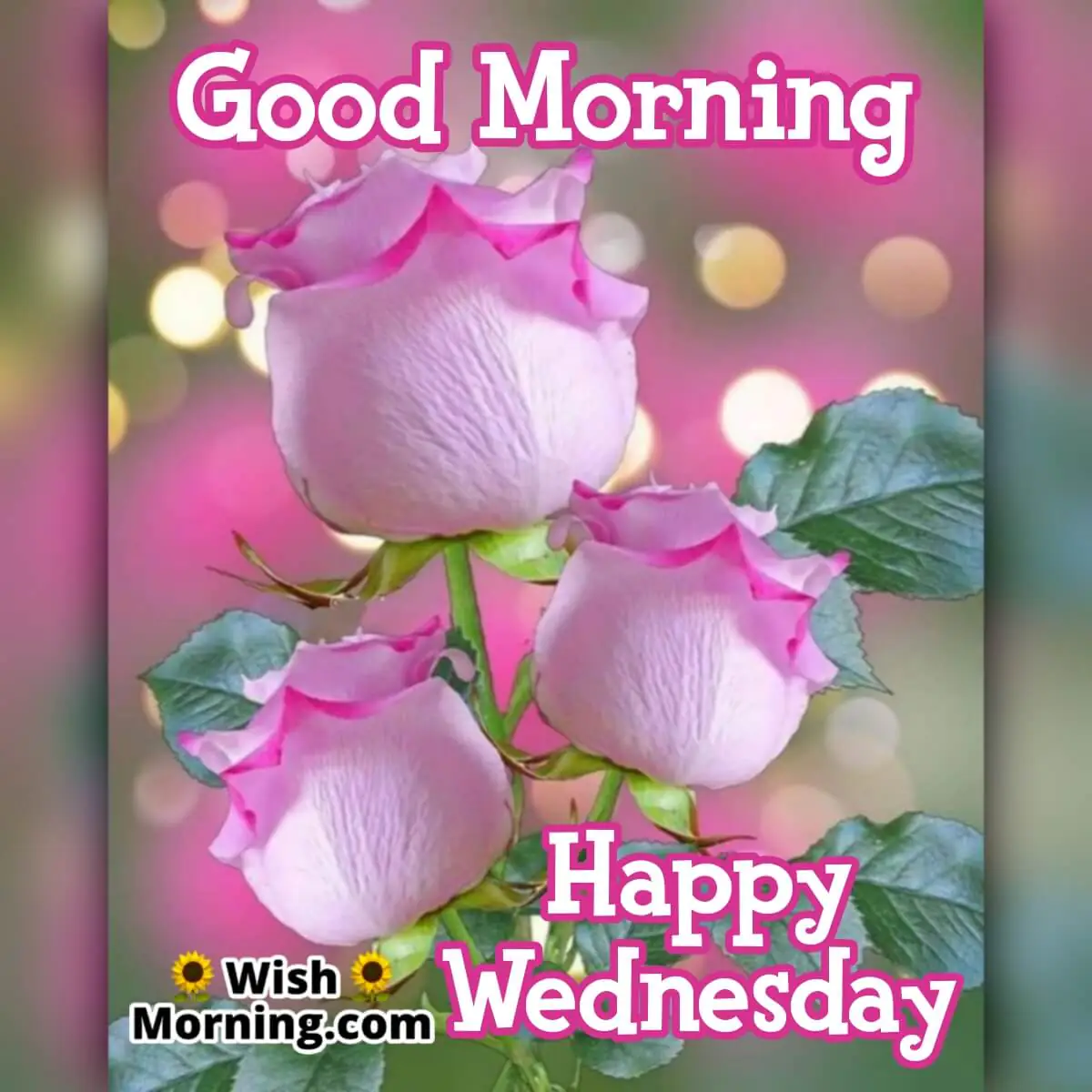 Wednesday Morning Wishes