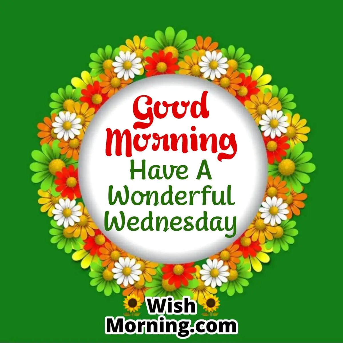 Wednesday Morning