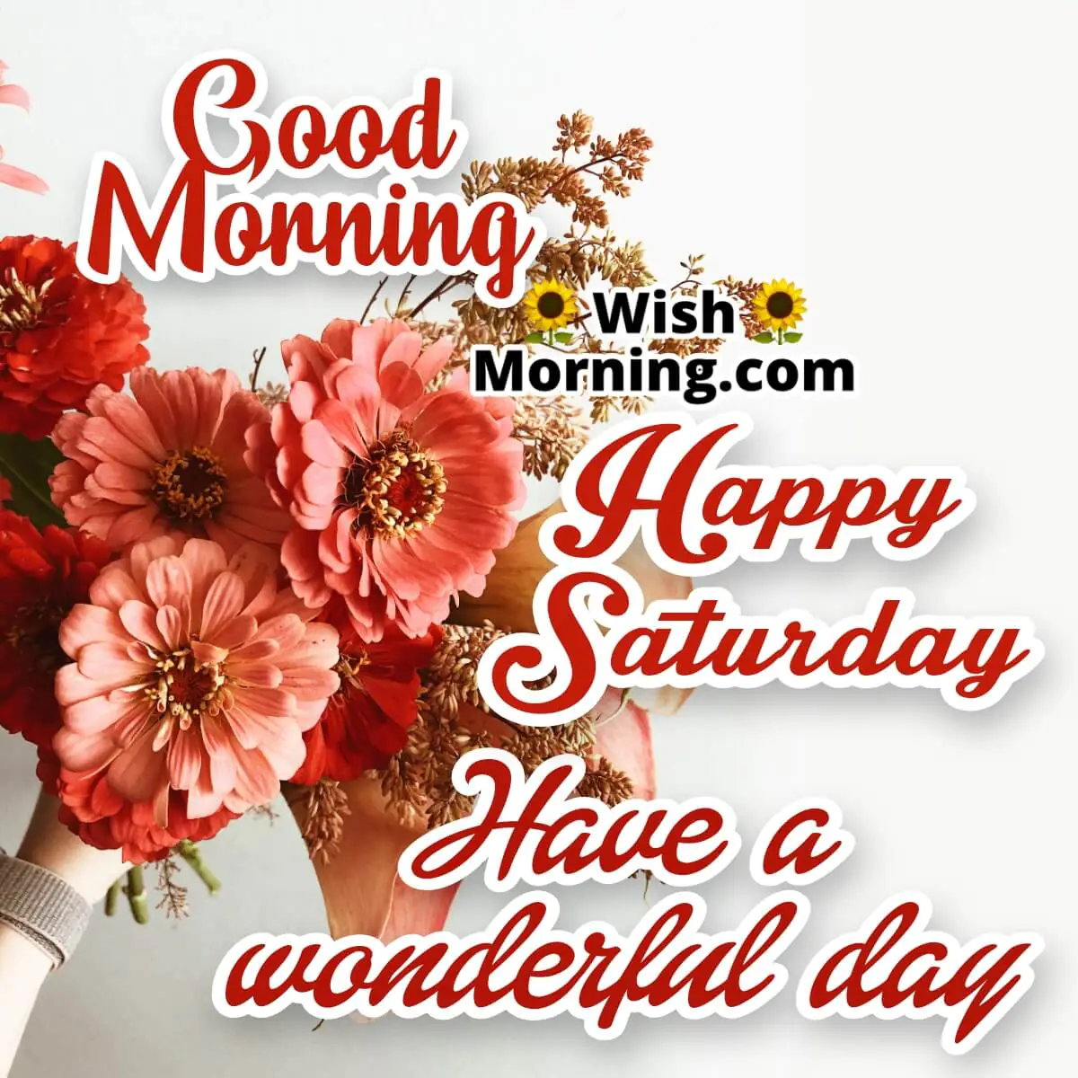 Wonderful Saturday Morning Wishes