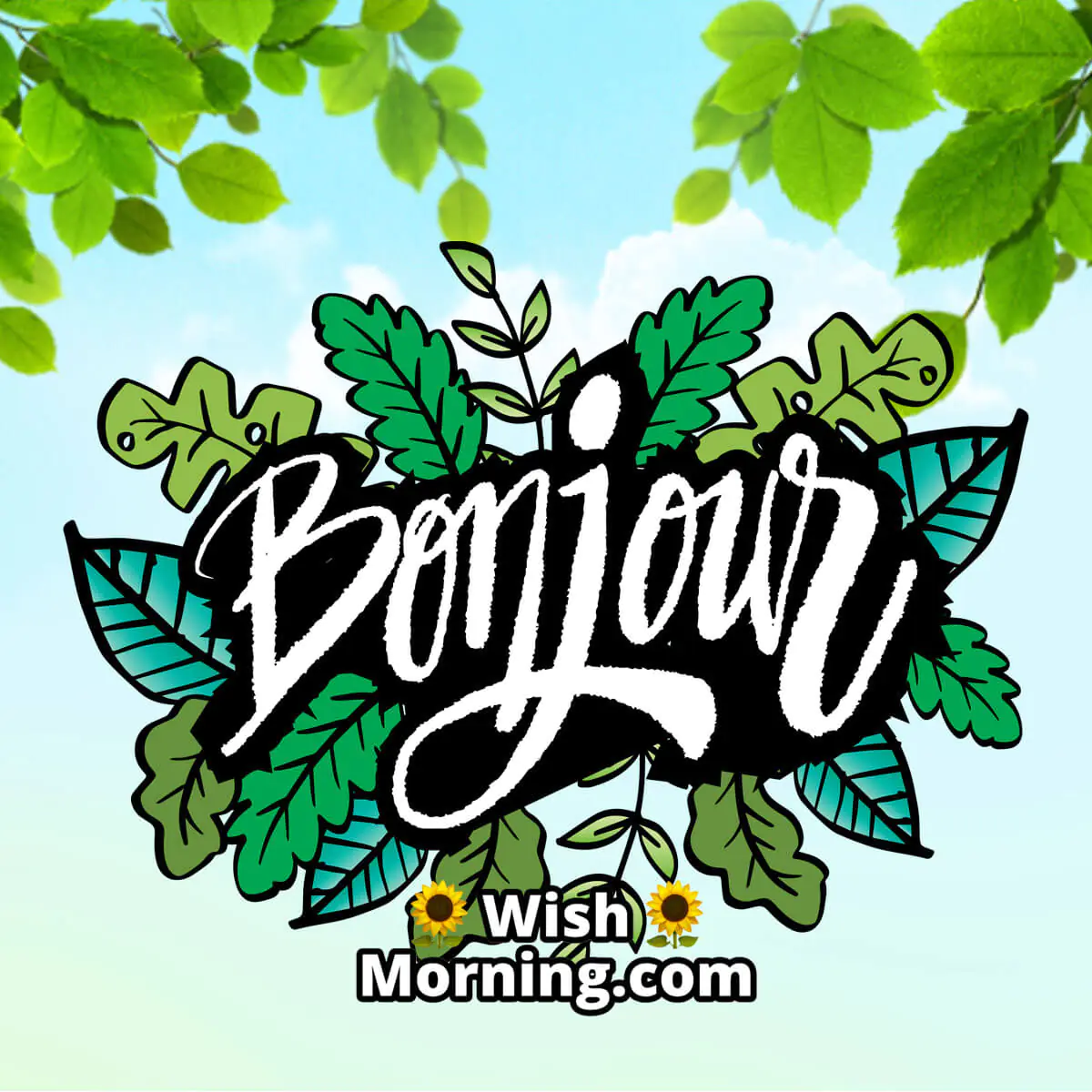 Bonjour