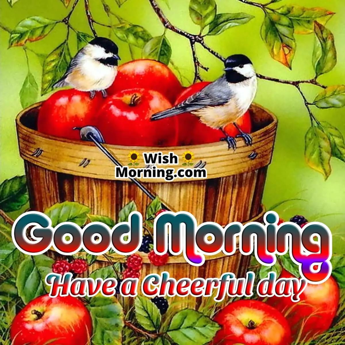 Good Morning Birds
