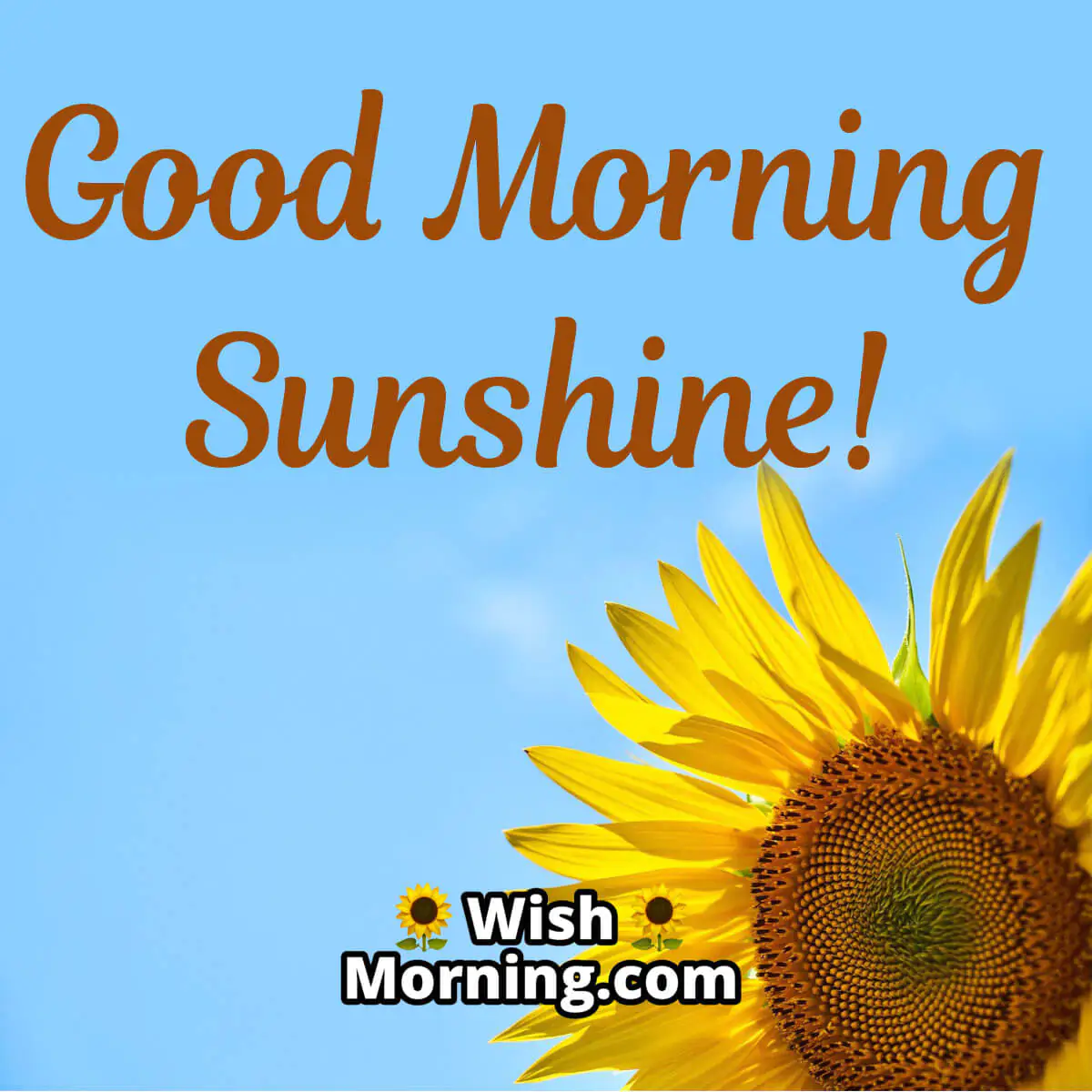 Good Morning Romantic Wish