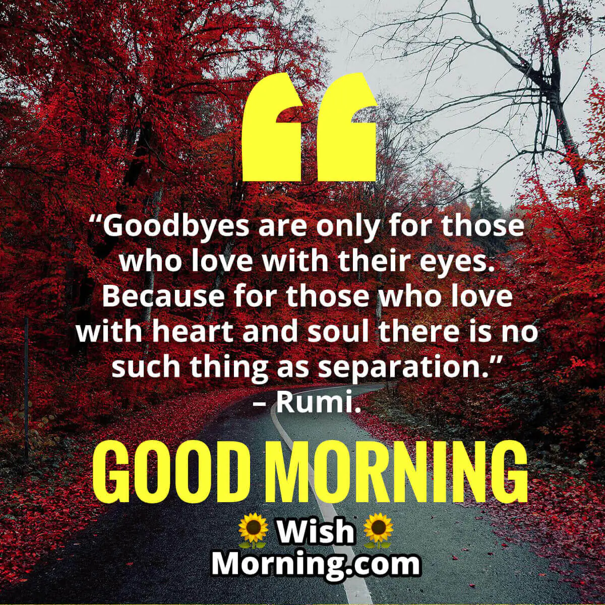 Good Morning Rumi Pictures