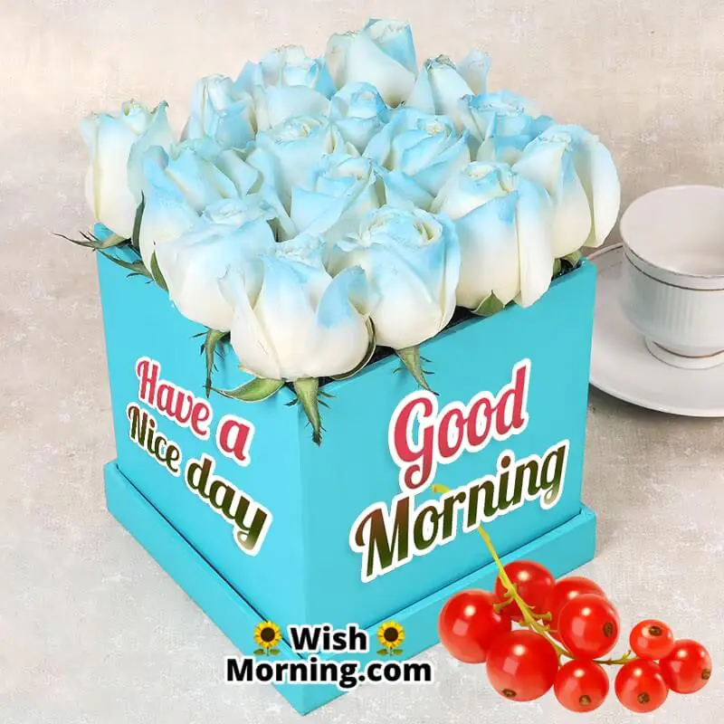 Good Morning