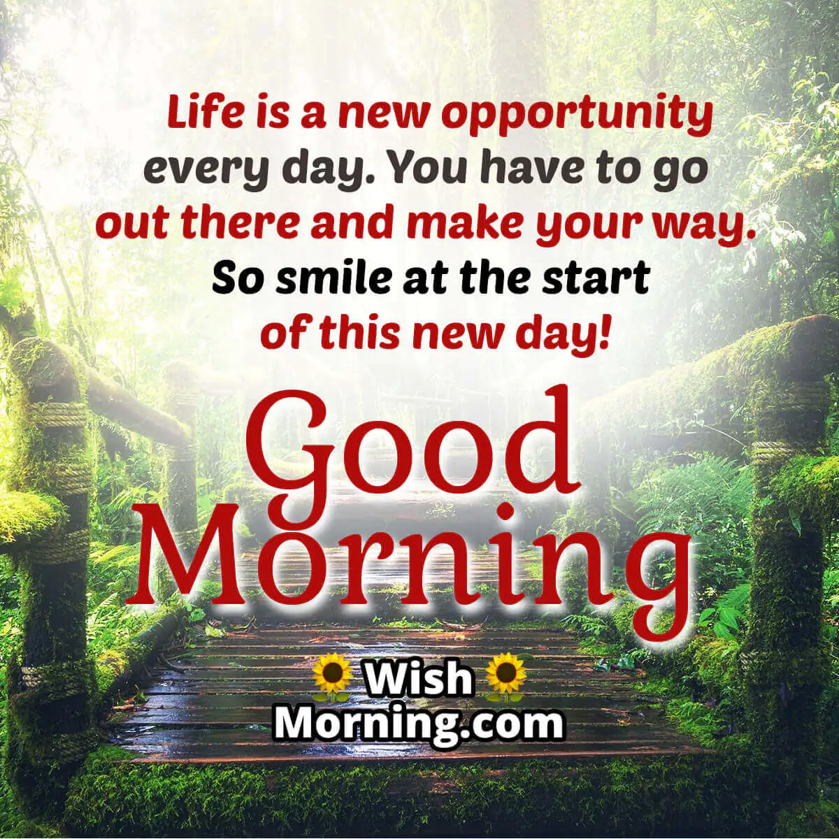 Inspirational Good Morning Photos
