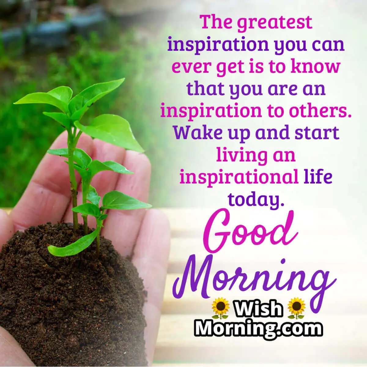 Inspirational Good Morning Quote