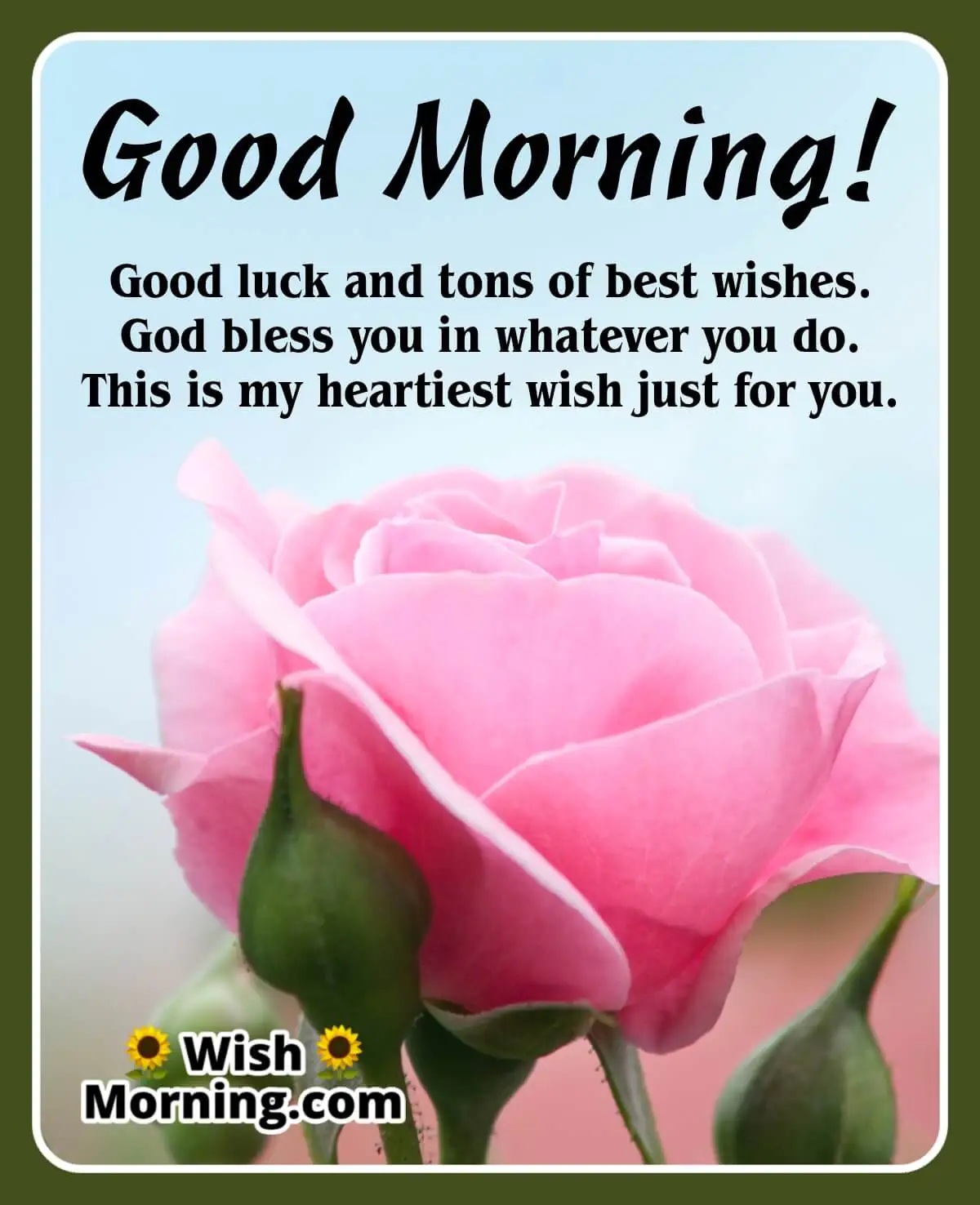 Good Morning Best Wishes With Rose Flower