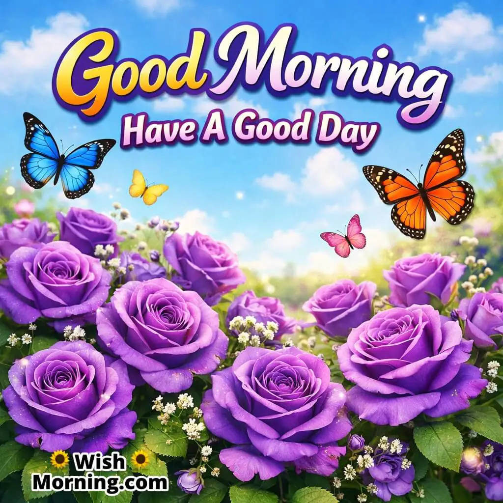 Good Morning Rose Flowers Image