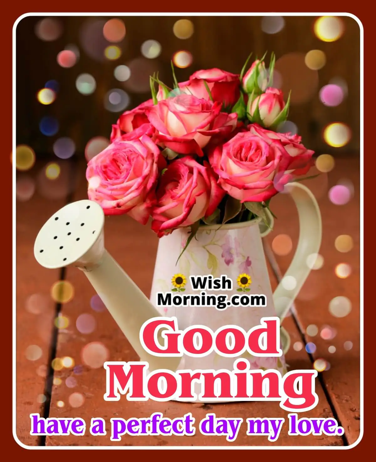 Good Morning Rose Flowers