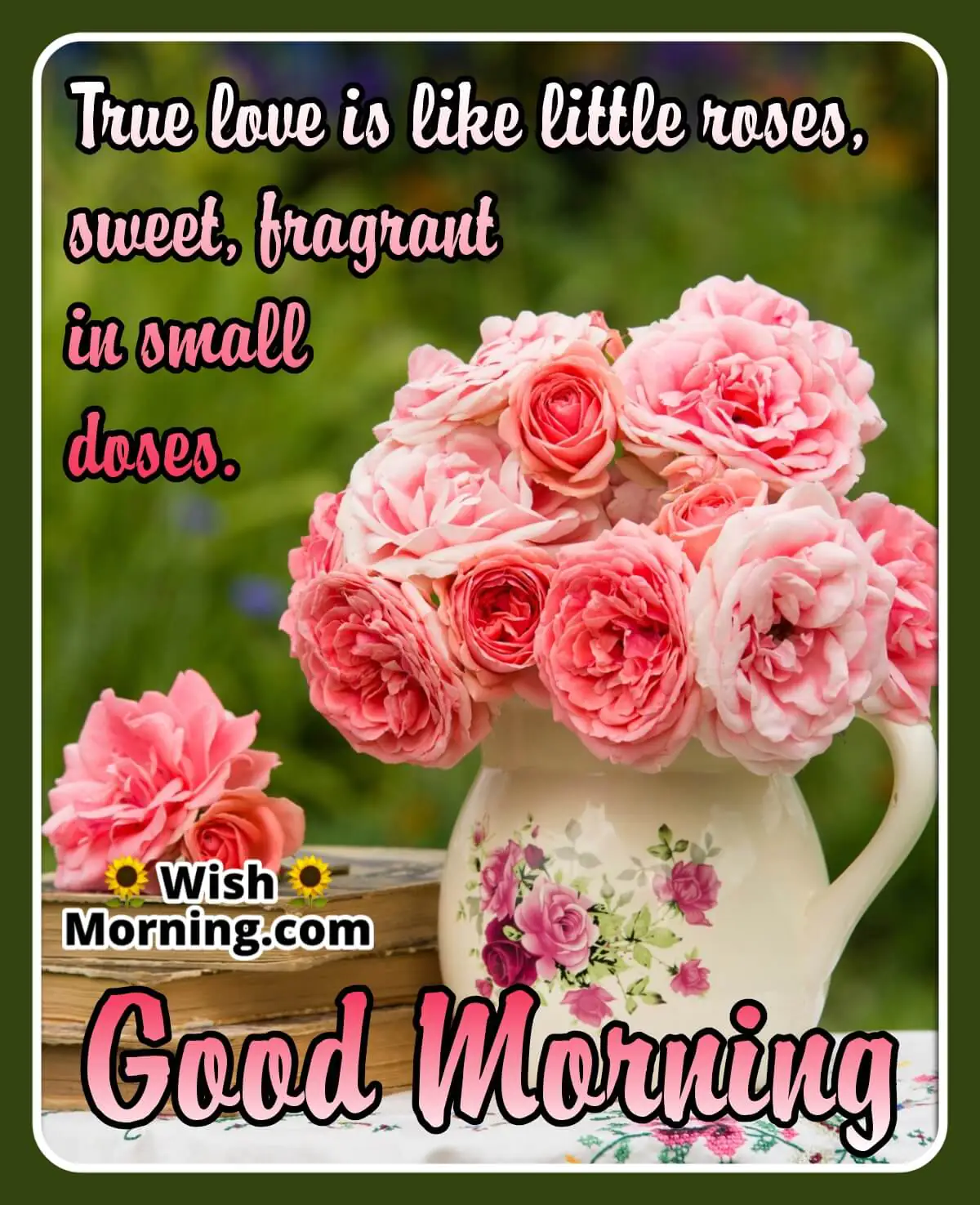 Good Morning With Rose Flowers