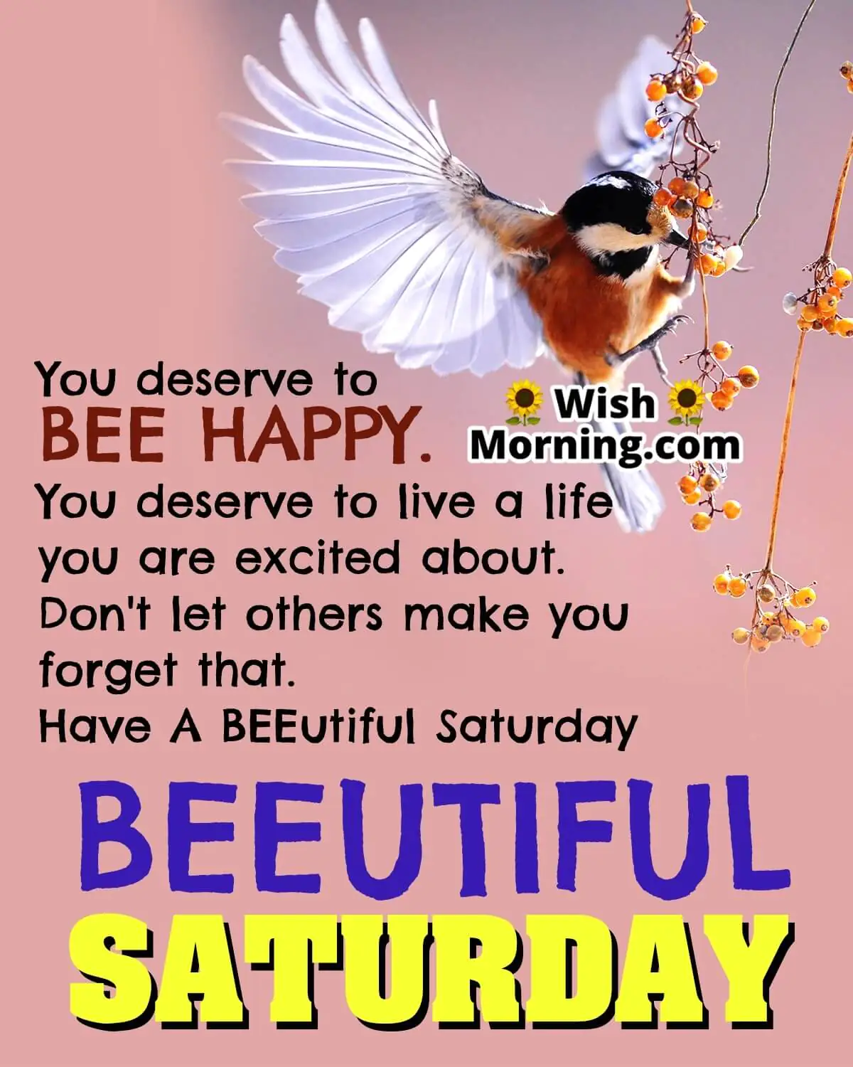 Beeutiful Saturday Quote