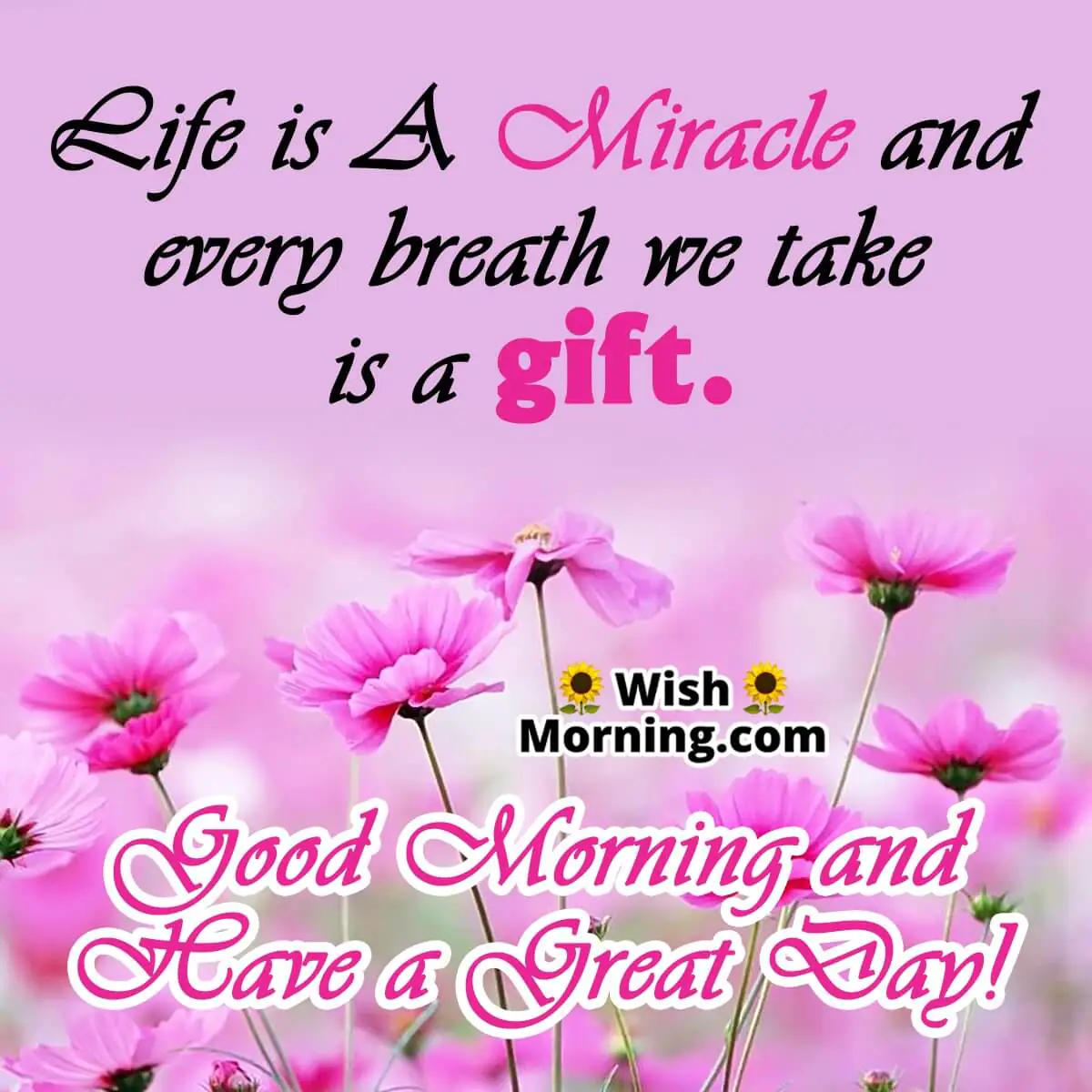 Beautiful Good Morning Quotes