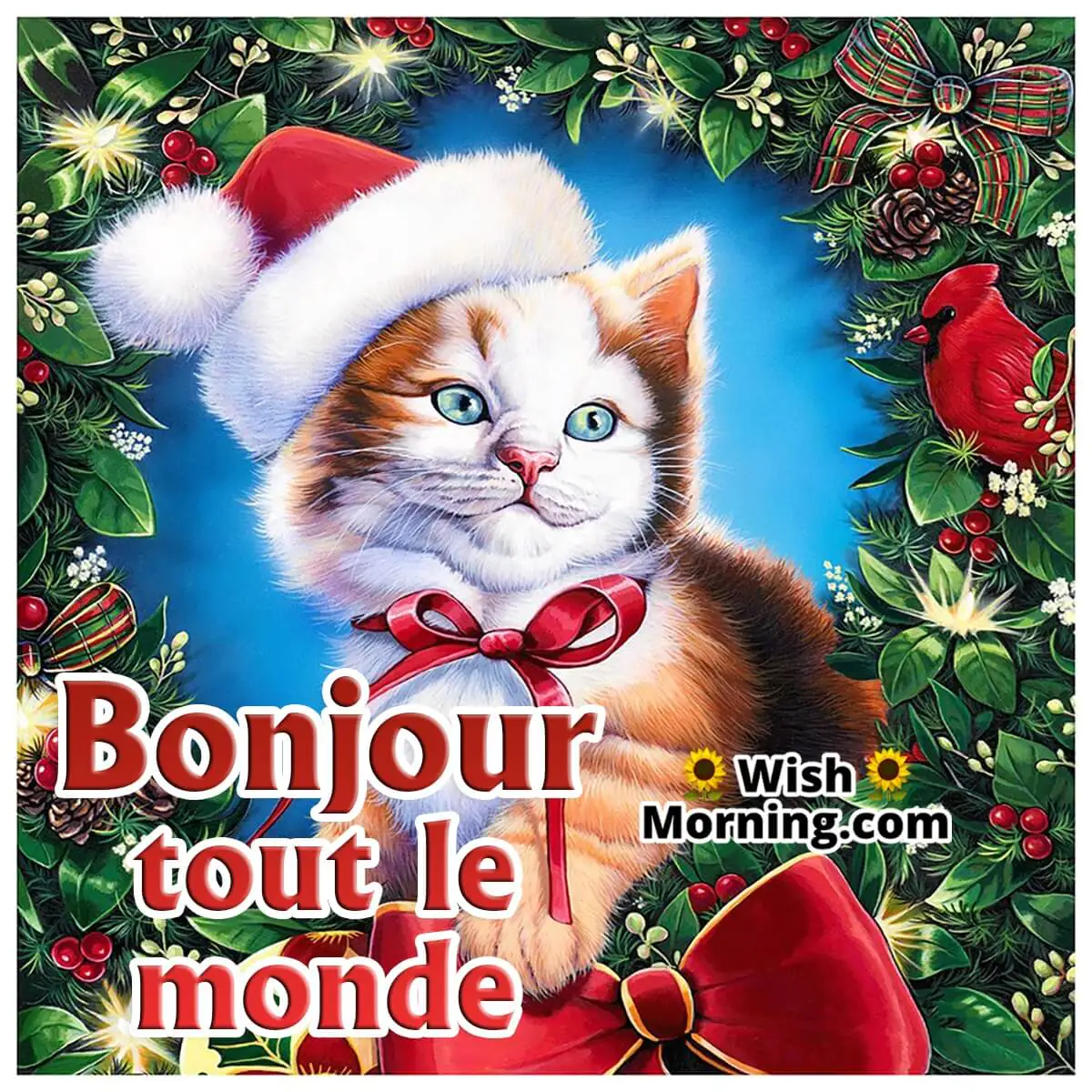 Bonjour Tout Le Monde