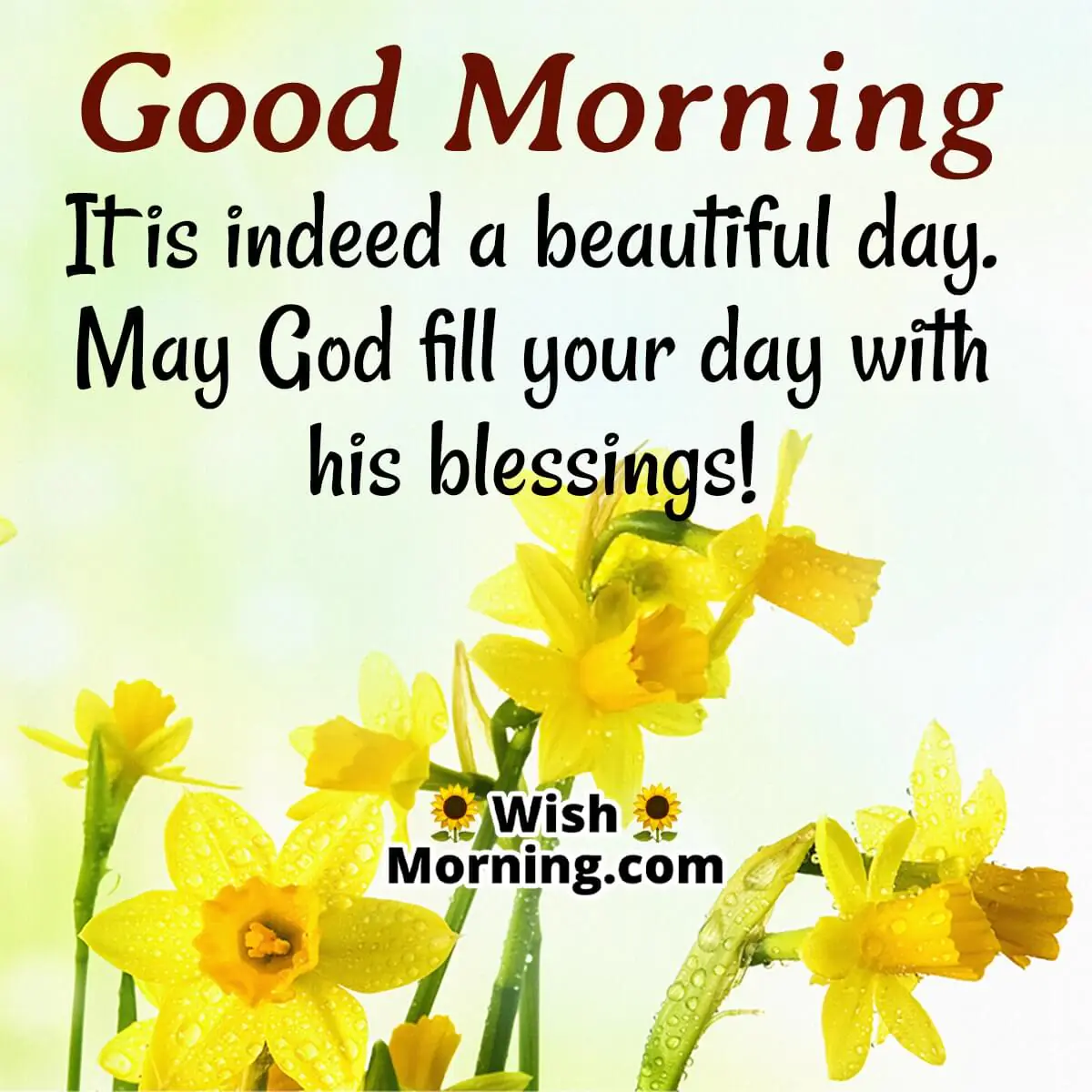Good Morning Beautiful Blessings