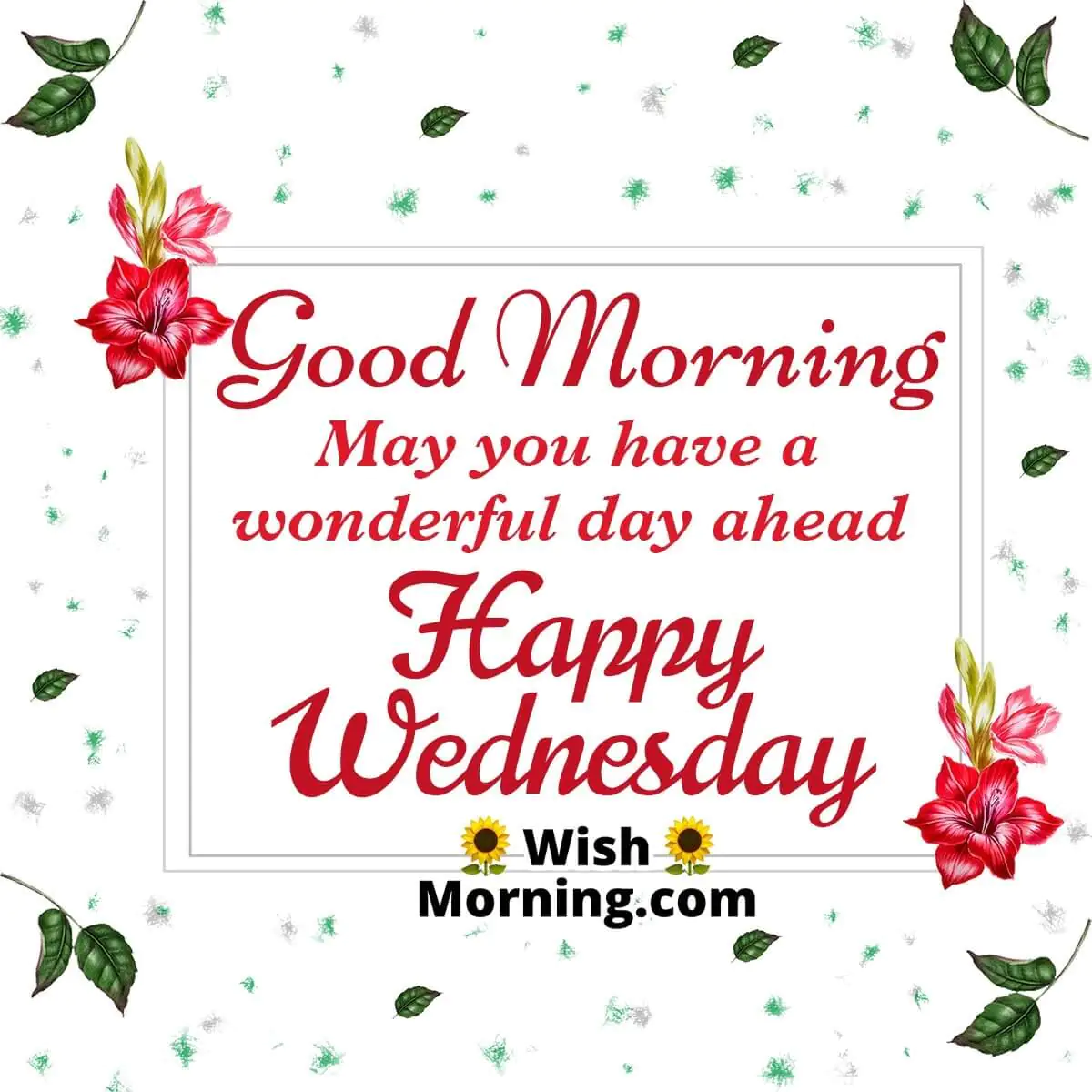 Good Morning Happy Wednesday