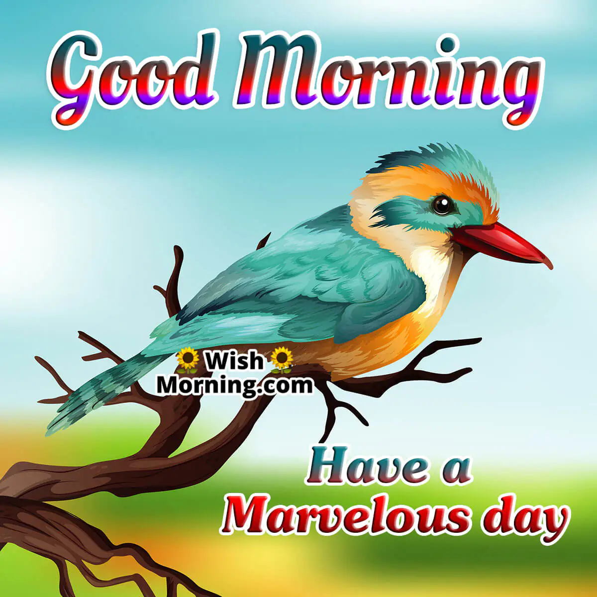 Good Morning Have a Marvelous day