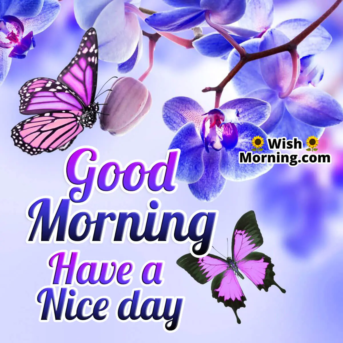 Good Morning Have A Nice Day