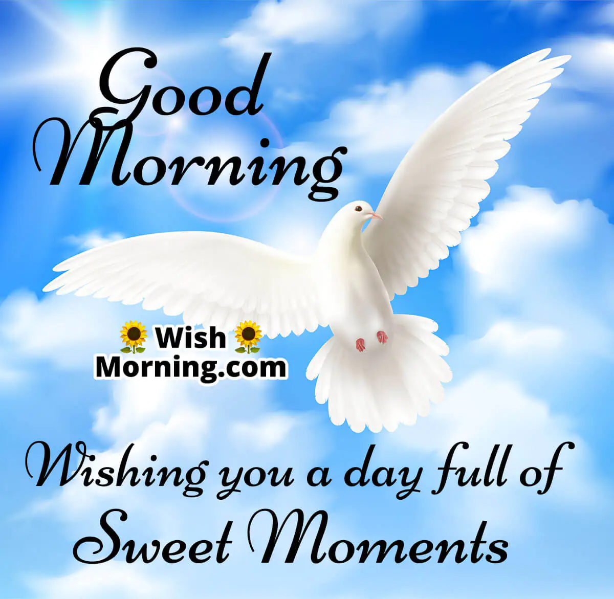 Good Morning Wishing Sweet Day