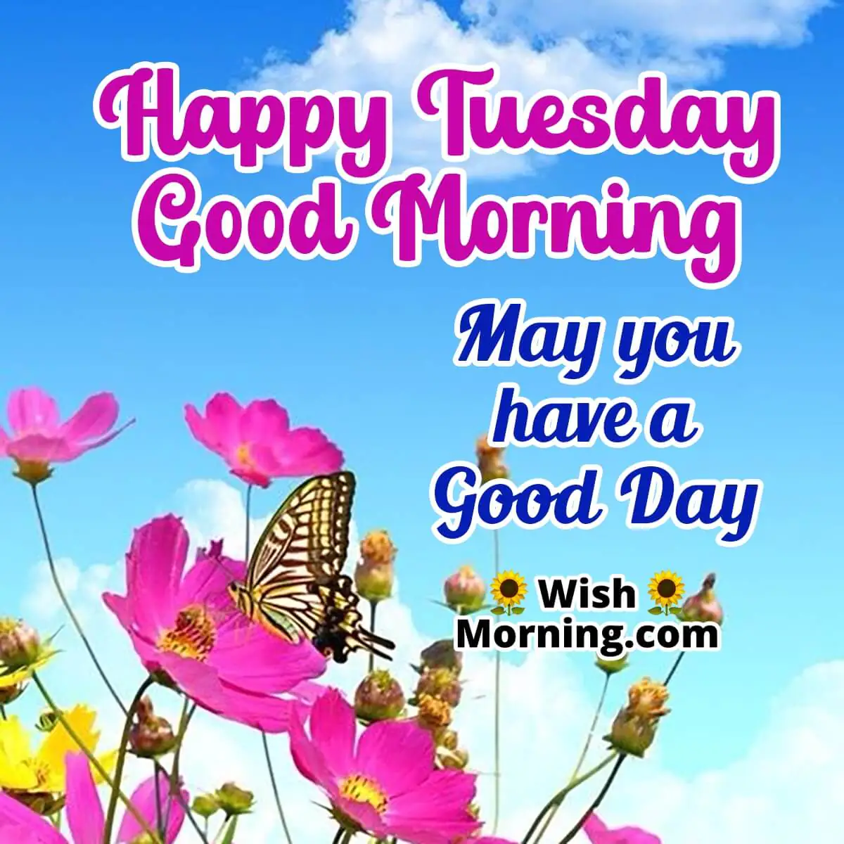 Happy Tuesday Good Morning Good Day