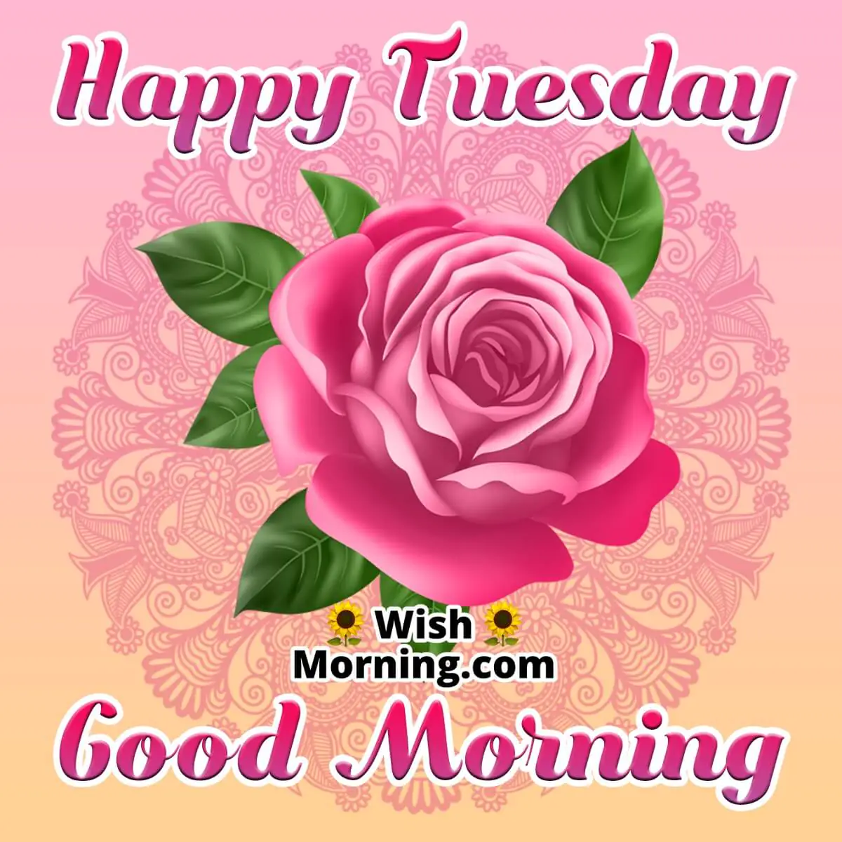 Happy Tuesday Good Morning
