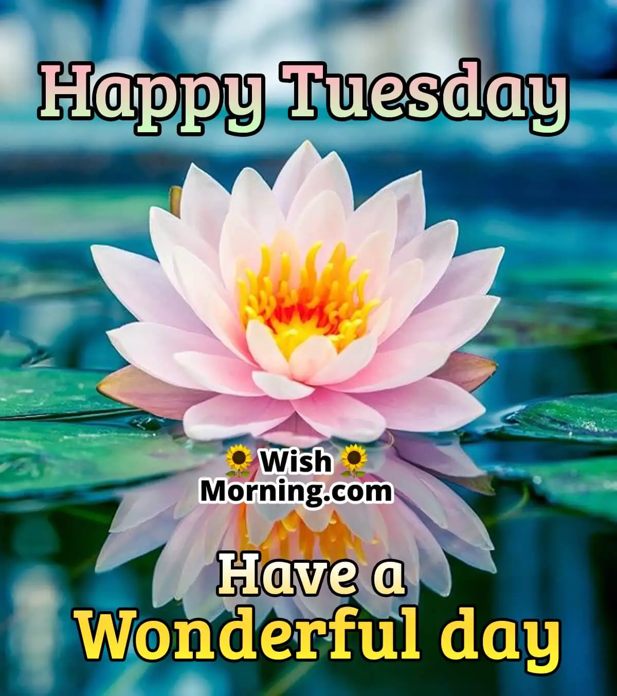 Happy Tuesday Wonderful Day