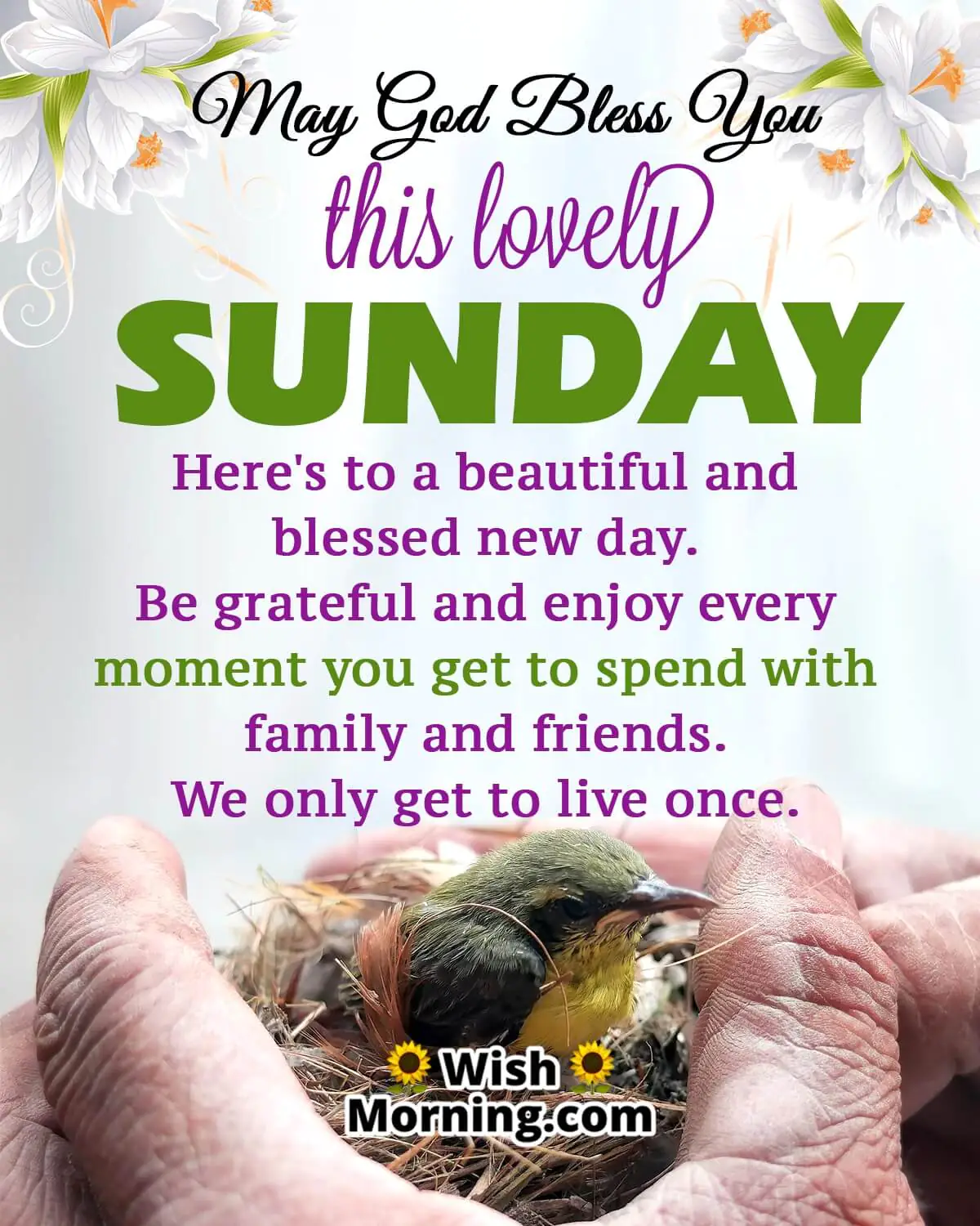 Lovely Sunday Blessings