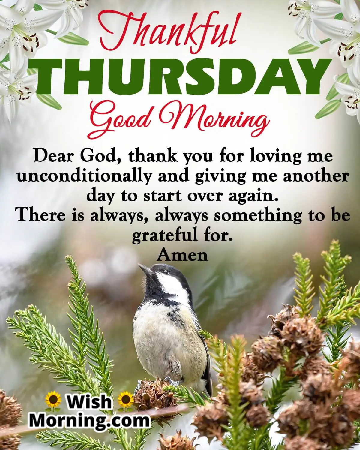 Thankful Thursday Quotes