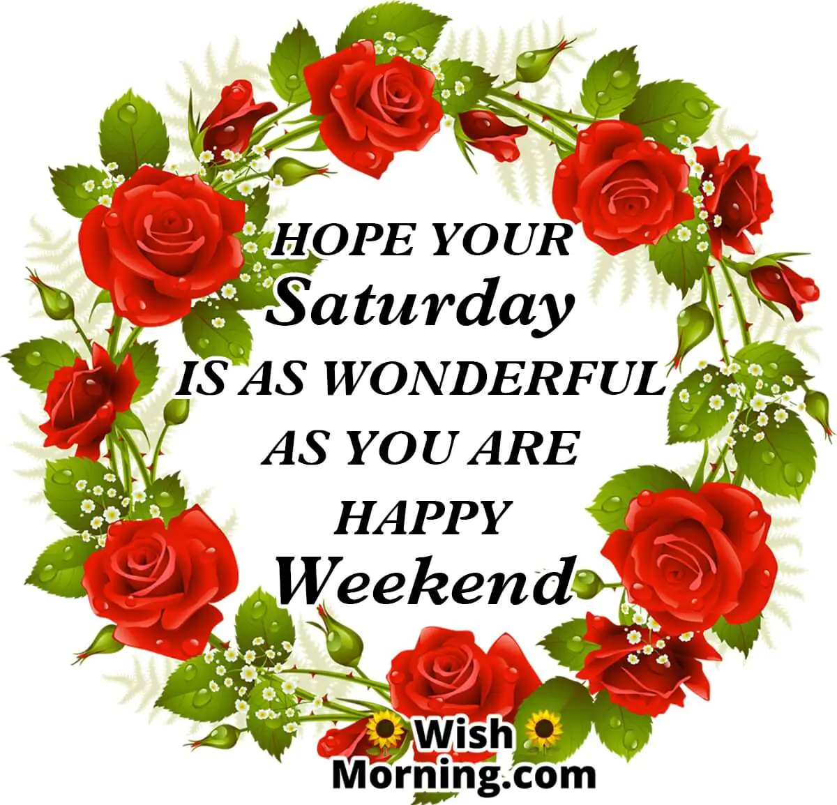 Wonderful Saturday Wishes
