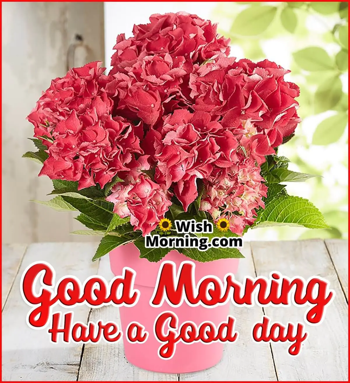 Good Morning Have A Good Day