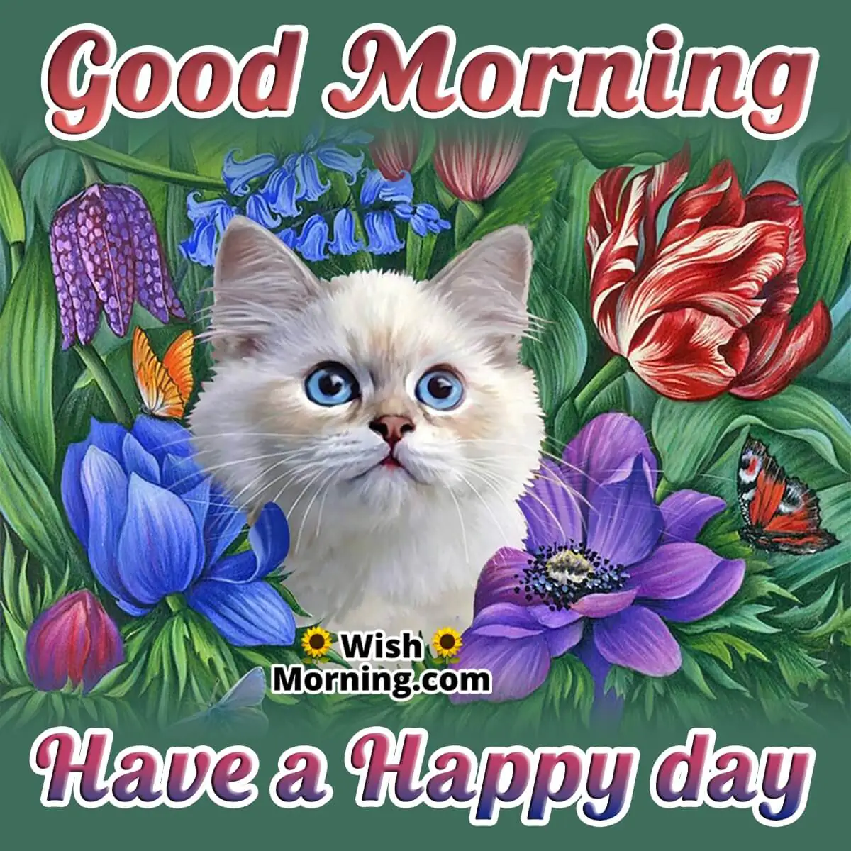 Good Morning Have A Happy Day