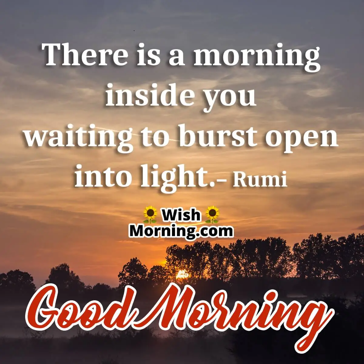Good Morning Rumi Pic