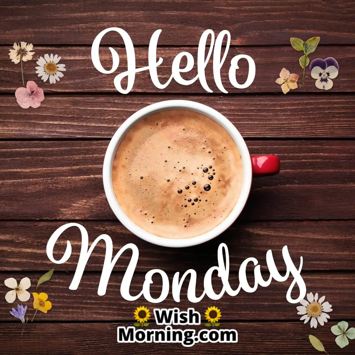Hello Monday Coffee